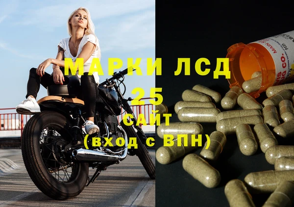 PSILOCYBIN Бугульма