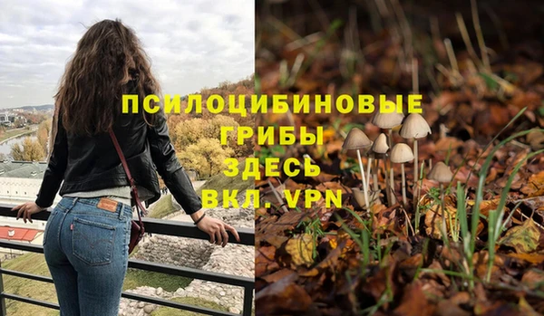 герыч Бородино